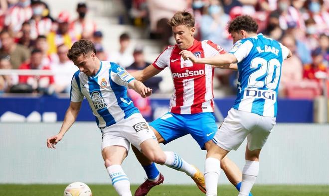 场的明星资 场的明星资