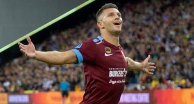 它提供了珍 它提供了珍